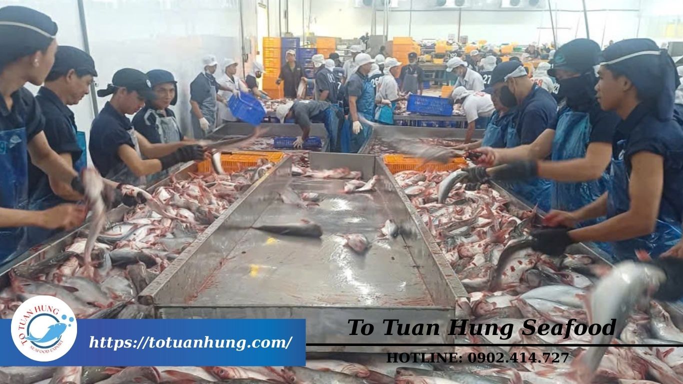 Bao tử cá: Tác dụng, cách chế biến và gợi ý bữa ăn dinh dưỡng